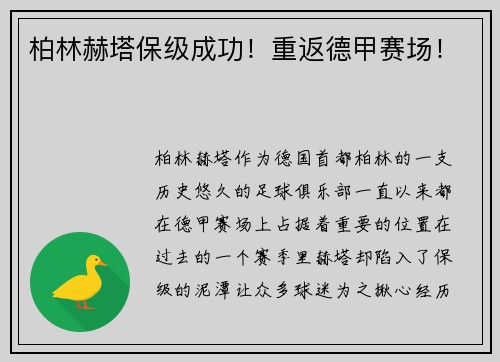 柏林赫塔保级成功！重返德甲赛场！